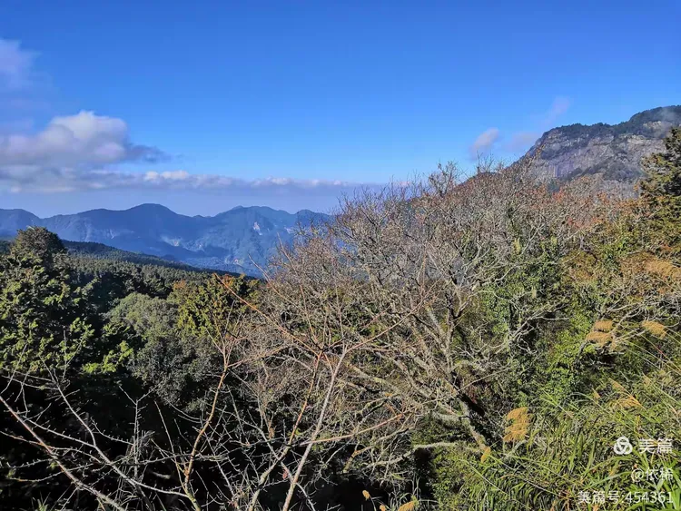 依稀的美篇——高山青，涧水蓝，阿里山的姑娘美如水……。